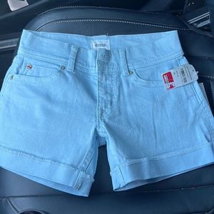 These are light blue Hudson shorts